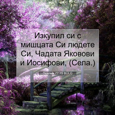 Picture 07 - Псалми 77:15 BULG - Изкупил си с мишцата Си - Bible Verse Picture