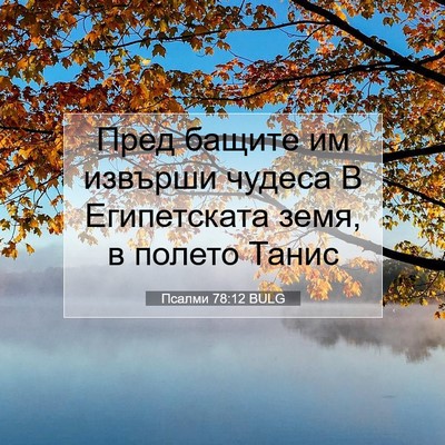 Picture 07 - Псалми 78:12 BULG - Пред бащите им извърши - Bible Verse Picture