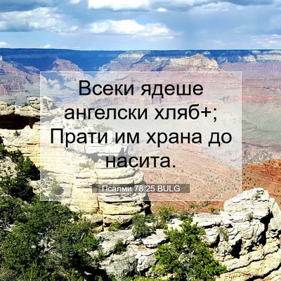 Picture 07 - Псалми 78:25 BULG - Всеки ядеше ангелски хляб+; - Bible Verse Picture