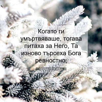 Picture 07 - Псалми 78:34 BULG - Когато ги умъртвяваше, - Bible Verse Picture
