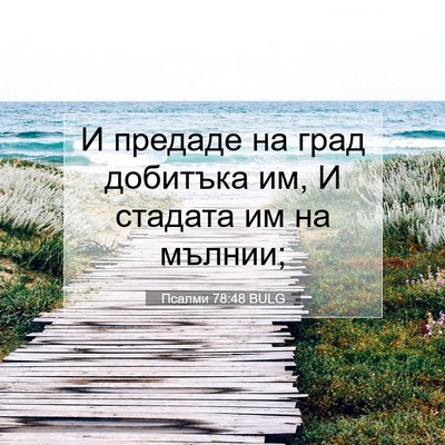 Picture 07 - Псалми 78:48 BULG - И предаде на град добитъка - Bible Verse Picture