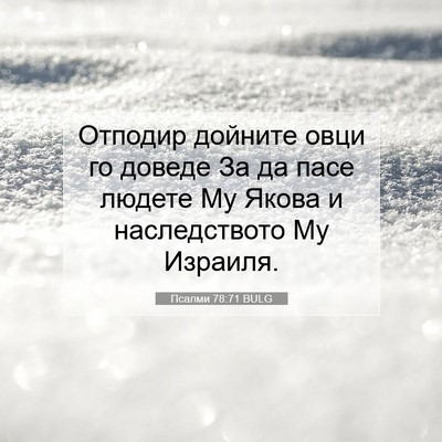 Picture 07 - Псалми 78:71 BULG - Отподир дойните овци го - Bible Verse Picture