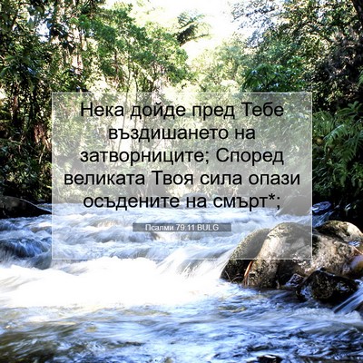 Picture 07 - Псалми 79:11 BULG - Нека дойде пред Тебе - Bible Verse Picture