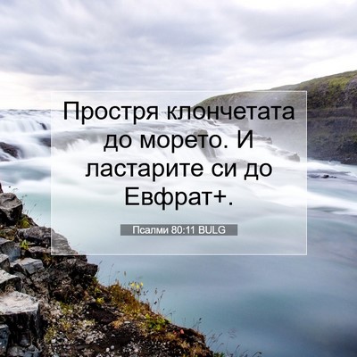Picture 07 - Псалми 80:11 BULG - Простря клончетата до - Bible Verse Picture