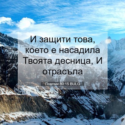 Picture 07 - Псалми 80:15 BULG - И защити това, което е - Bible Verse Picture