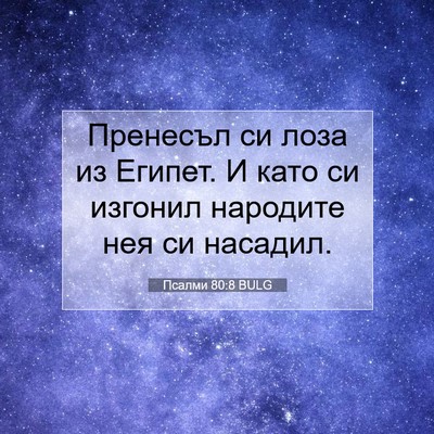 Picture 07 - Псалми 80:8 BULG - Пренесъл си лоза из Египет. - Bible Verse Picture