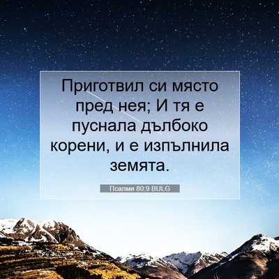 Picture 07 - Псалми 80:9 BULG - Приготвил си място пред - Bible Verse Picture
