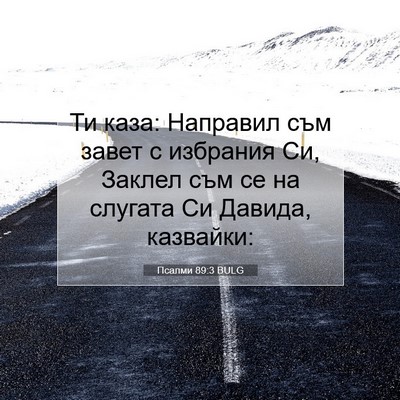 Picture 07 - Псалми 89:3 BULG - Ти каза: Направил съм завет - Bible Verse Picture