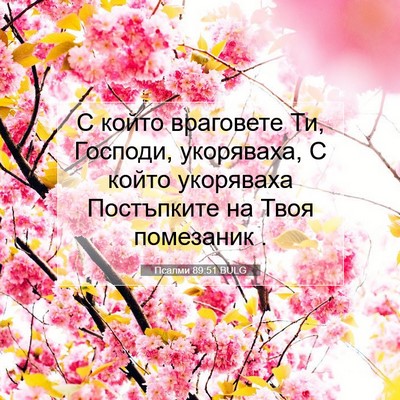 Picture 07 - Псалми 89:51 BULG - С който враговете Ти, - Bible Verse Picture