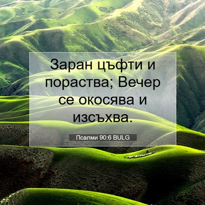Picture 07 - Псалми 90:6 BULG - Заран цъфти и пораства; - Bible Verse Picture