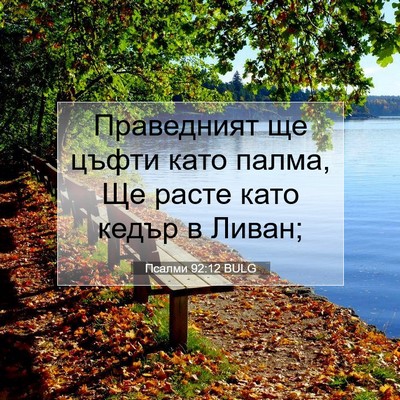 Picture 07 - Псалми 92:12 BULG - Праведният ще цъфти като - Bible Verse Picture