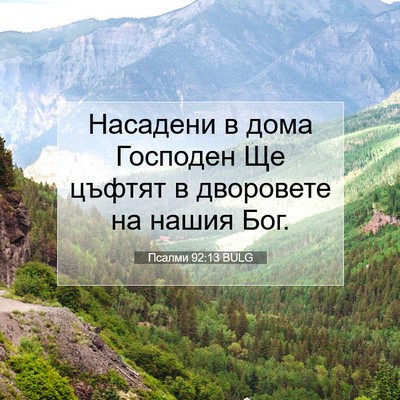 Picture 07 - Псалми 92:13 BULG - Насадени в дома Господен - Bible Verse Picture