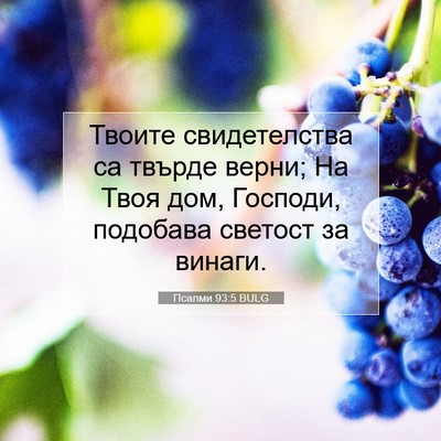 Picture 07 - Псалми 93:5 BULG - Твоите свидетелства са - Bible Verse Picture