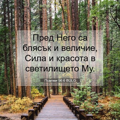 Picture 07 - Псалми 96:6 BULG - Пред Него са блясък и - Bible Verse Picture
