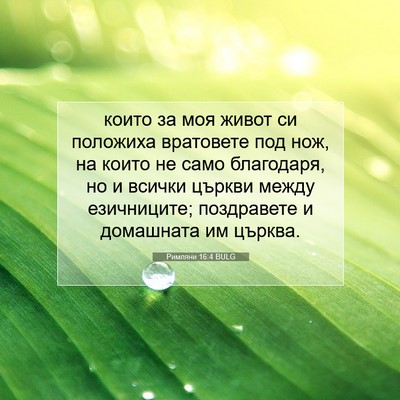 Picture 07 - Римляни 16:4 BULG - които за моя живот си - Bible Verse Picture