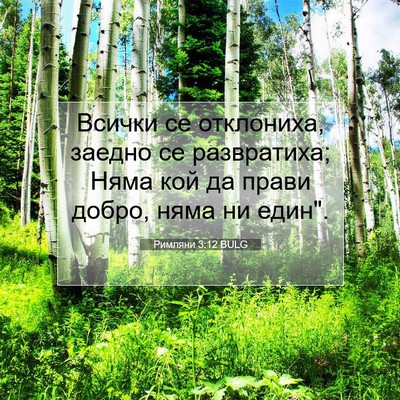 Picture 07 - Римляни 3:12 BULG - Всички се отклониха, - Bible Verse Picture