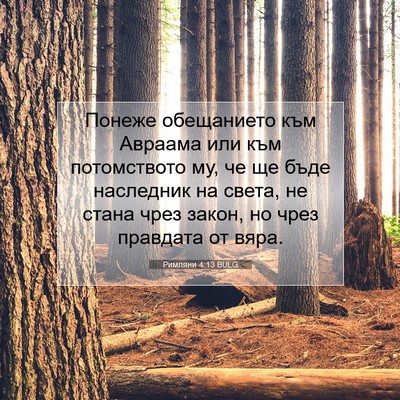 Picture 07 - Римляни 4:13 BULG - Понеже обещанието към - Bible Verse Picture