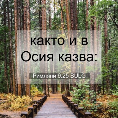 Picture 07 - Римляни 9:25 BULG - както и в Осия - Bible Verse Picture
