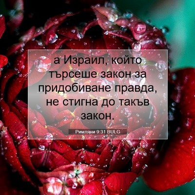 Picture 07 - Римляни 9:31 BULG - а Израил, който търсеше - Bible Verse Picture
