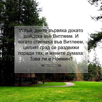 Picture 07 - Рут 1:19 BULG - И тъй, двете вървяха докато - Bible Verse Picture