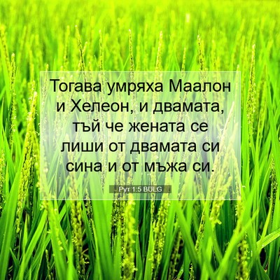 Picture 07 - Рут 1:5 BULG - Тогава умряха Маалон и - Bible Verse Picture