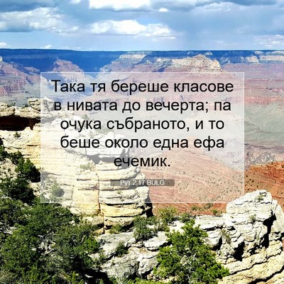 Picture 07 - Рут 2:17 BULG - Така тя береше класове в - Bible Verse Picture