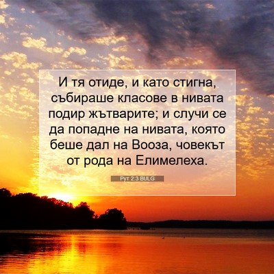Picture 07 - Рут 2:3 BULG - И тя отиде, и като стигна, - Bible Verse Picture
