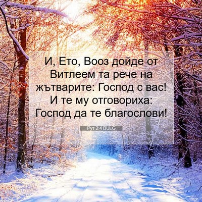 Picture 07 - Рут 2:4 BULG - И, Ето, Вооз дойде от - Bible Verse Picture
