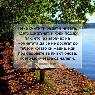 Picture 07 - Рут 2:9 BULG - Нека очите ти бъдат в - Bible Verse Picture