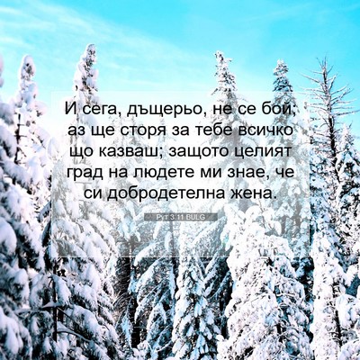 Picture 07 - Рут 3:11 BULG - И сега, дъщерьо, не се бой; - Bible Verse Picture