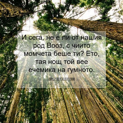 Picture 07 - Рут 3:2 BULG - И сега, не е ли от нашия род - Bible Verse Picture