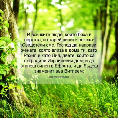 Picture 07 - Рут 4:11 BULG - И всичките люде, които бяха - Bible Verse Picture
