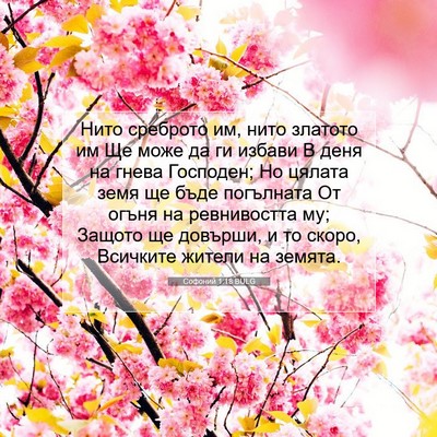 Picture 07 - Софоний 1:18 BULG - Нито среброто им, нито - Bible Verse Picture