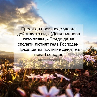 Picture 07 - Софоний 2:2 BULG - Преди да произведе указът - Bible Verse Picture