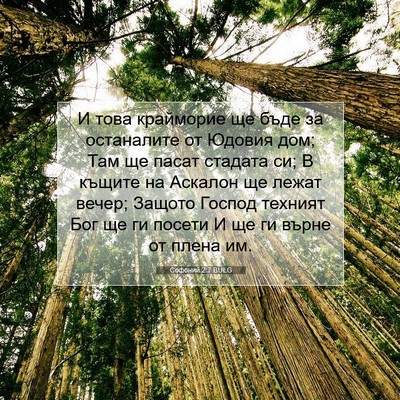 Picture 07 - Софоний 2:7 BULG - И това крайморие ще бъде за - Bible Verse Picture