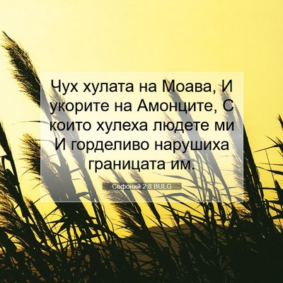 Picture 07 - Софоний 2:8 BULG - Чух хулата на Моава, И - Bible Verse Picture