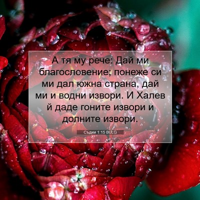 Picture 07 - Съдии 1:15 BULG - А тя му рече: Дай ми - Bible Verse Picture