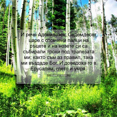 Picture 07 - Съдии 1:7 BULG - И рече Адонивезек: - Bible Verse Picture