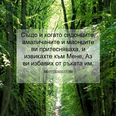 Picture 07 - Съдии 10:12 BULG - Също и когато сидонците, - Bible Verse Picture