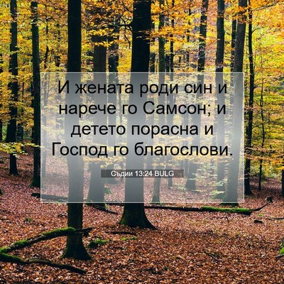 Picture 07 - Съдии 13:24 BULG - И жената роди син и нарече - Bible Verse Picture
