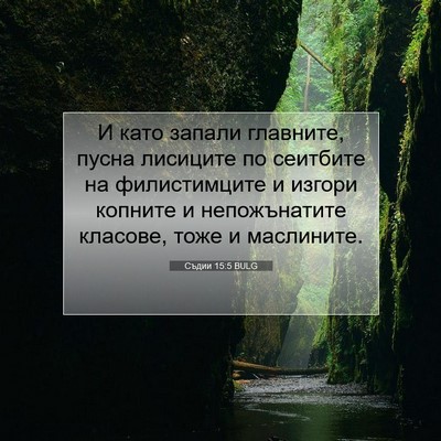 Picture 07 - Съдии 15:5 BULG - И като запали главните, - Bible Verse Picture