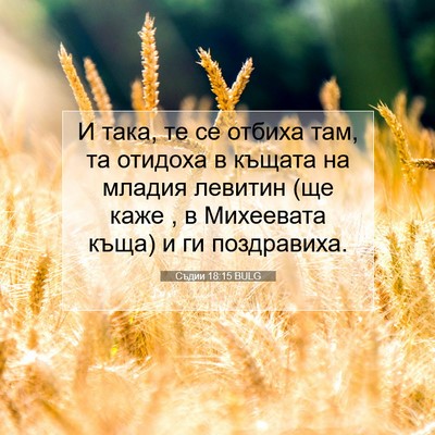 Picture 07 - Съдии 18:15 BULG - И така, те се отбиха там, та - Bible Verse Picture