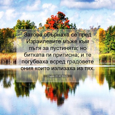 Picture 07 - Съдии 20:42 BULG - Затова обърнаха се пред - Bible Verse Picture