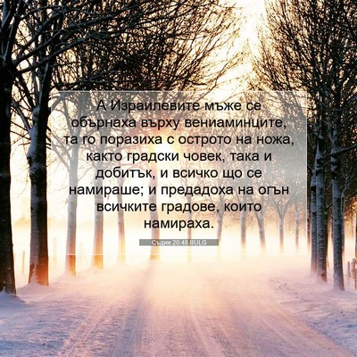 Picture 07 - Съдии 20:48 BULG - А Израилевите мъже се - Bible Verse Picture