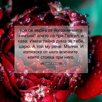 Picture 07 - Съдии 3:19 BULG - той се върна от - Bible Verse Picture
