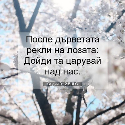 Picture 07 - Съдии 9:12 BULG - После дърветата рекли на - Bible Verse Picture