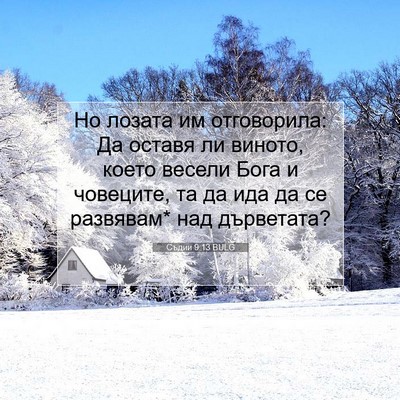 Picture 07 - Съдии 9:13 BULG - Но лозата им отговорила: Да - Bible Verse Picture