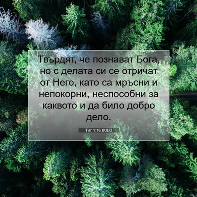 Picture 07 - Тит 1:16 BULG - Твърдят, че познават Бога, - Bible Verse Picture