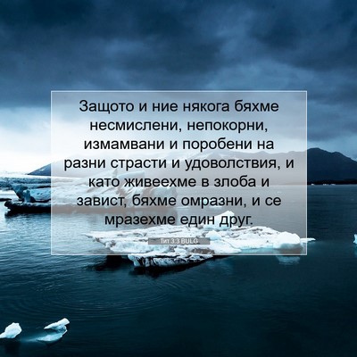 Picture 07 - Тит 3:3 BULG - Защото и ние някога бяхме - Bible Verse Picture