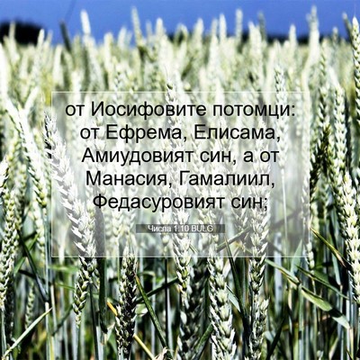 Picture 07 - Числа 1:10 BULG - от Иосифовите потомци: от - Bible Verse Picture